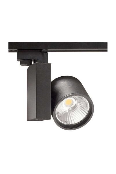 ACK AD30-04001 3000K Günışığı 30W Siyah Kasa Cob Led Ray Spot