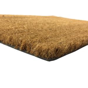 17mm Kalınlıkta PVC Tabanlı Sık Dokunmuş Koko Kıl Paspası 40x60cm Kapı Önü Paspası