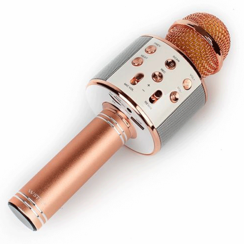 Wster WS-858 Usb,Sd Card,Jack Karaoke KTV Player Magic Mikrofon