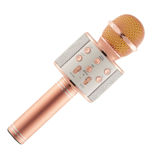 Wster WS-858 Usb,Sd Card,Jack Karaoke KTV Player Magic Mikrofon