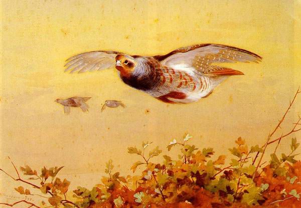 AHŞAP ÇERÇEVELİ CANVAS TABLO RESSAMLAR1057 40x30