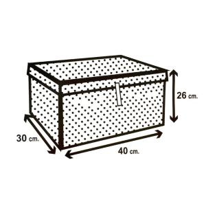 Çok Amaçlı Mini Kutu Dekoratif Katlanabilir Cırtlı 30x40x26cm Kutu Hafif Ekonomik Modern Tasarım