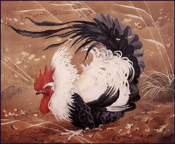 AHŞAP ÇERÇEVELİ CANVAS TABLO RESSAMLAR1197 40x30