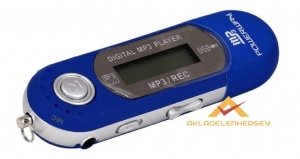 POWERWAY 2GB PİLLİ RADYOLU KULAKLIKLI MP3 ÇALAR