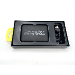 Mini Boy Slim Powerbank 5500mAh Portatif Taşınabilir Şarj Cihazı Auris Çift Usb Girişli Powerbank