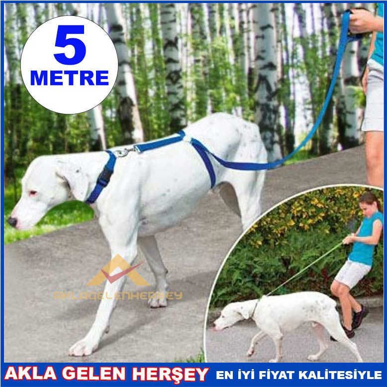 KÖPEK EĞİTİM TASMASI İNSTANT TRAİNER LEASH