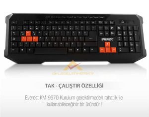 EVEREST WIRELESS MULTIMEDIA COMBO KABLOSUZ RENKLİ YÖN TUŞLU OYUNCU KLAVYE MOUSE SETİ