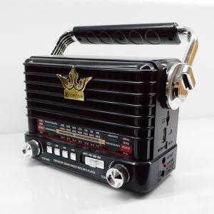 Nostalji Fm Radyo Usb Sd Kart Girişli Müzik Kutusu Everton RT-921