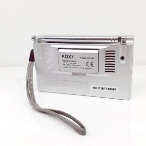 Pilli Portatif Dijital Alarmlı 10 Band Dünya Radyosu Roxy Rxy-330