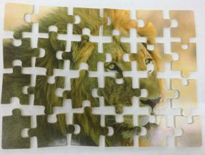 24 PARÇADAN OLUŞAN ÇOCUKLARIN GÜZEL ZAMAN GEÇİREBİLECEĞİ EĞLENCELİ ASLAN FİGÜRLÜ AHŞAP PUZZLE