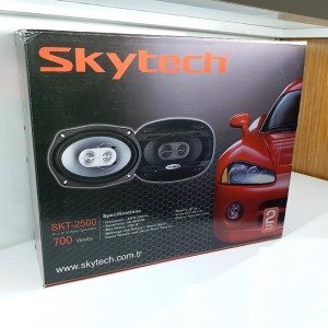 Oval Araç Hoparlörü 15x22 cm 2li Skytech SKT 2500 Oto Ses Sistemi