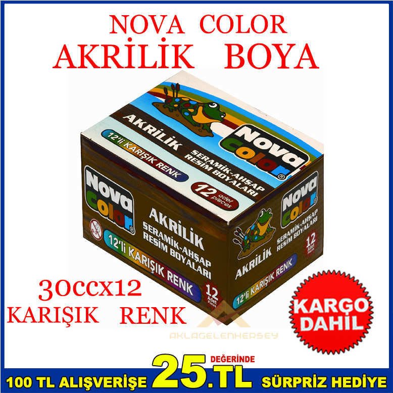 NOVACOLOR 12 RENK AKRİLİK SERAMİK AHŞAP BOYASI -3