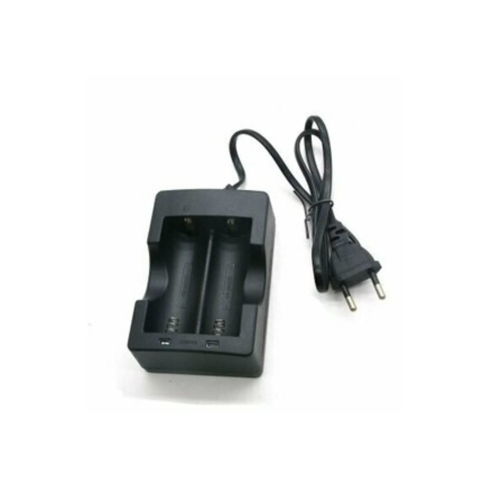 İkili Pil Şarj Aleti 100-240V 47-63HZ 4.2V 1000mA