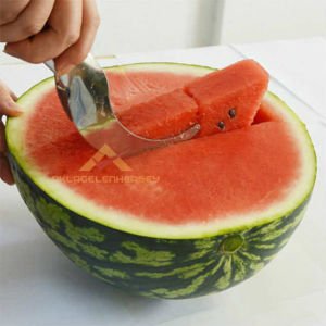 PASLANMAZ ÇELİK KAVUN KARPUZ DİLİMLEME BIÇAĞI