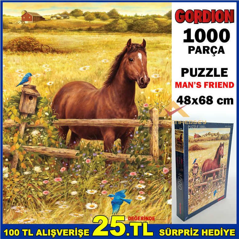 GORDİON 1000 PARÇA BÜYÜK BOY PUZZLE MAN'S FRIEND