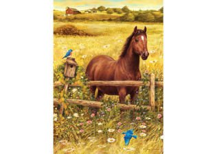 GORDİON 1000 PARÇA BÜYÜK BOY PUZZLE MAN'S FRIEND