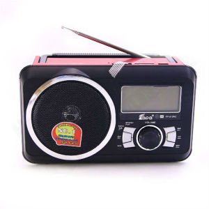 Epe Fp-920 Orc Dijital Ekranlı Radyolu Müzik Çalar 24x9x14cm Kulaklık,Mikrofon,Karaoke
