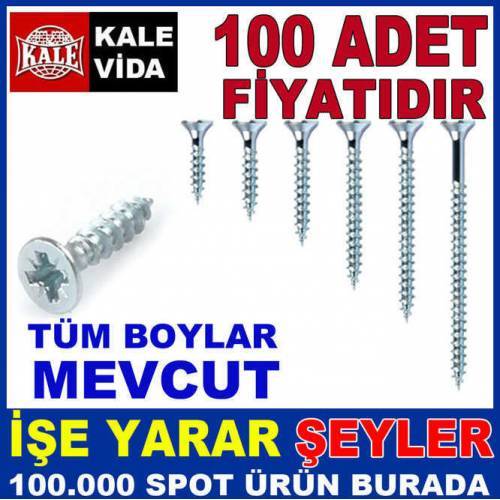 Kale Vida 100 Adet Sunta Ahşap Vidası 3.5x25mm