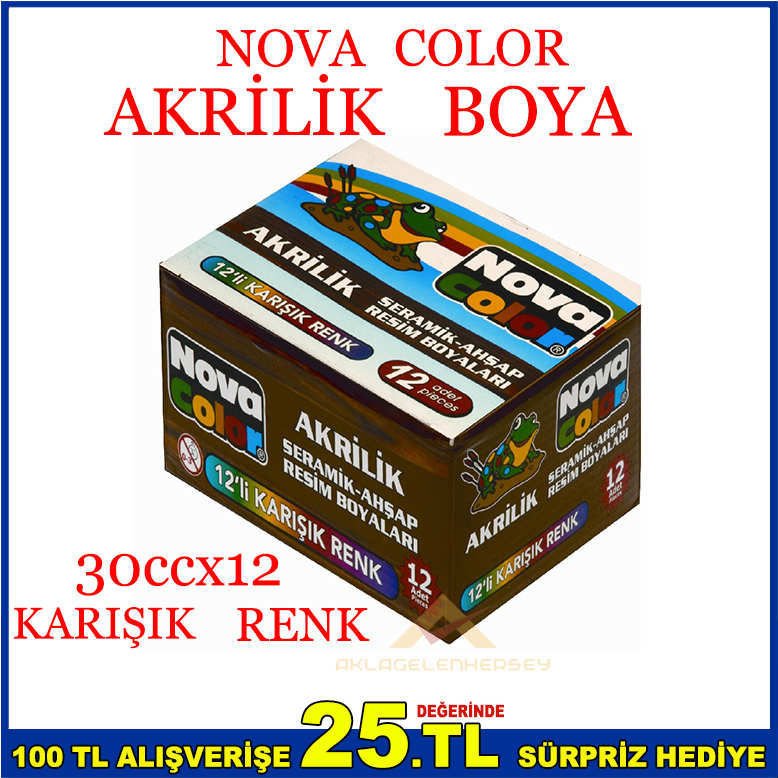 NOVACOLOR 12 RENK AKRİLİK SERAMİK AHŞAP BOYASI-3