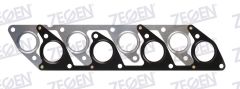 STAREX EGZOZ MANIFOLD CONTASI
