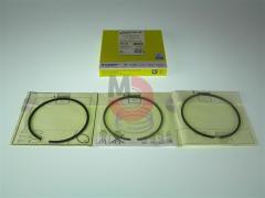 Npr66 Piston Segman Set