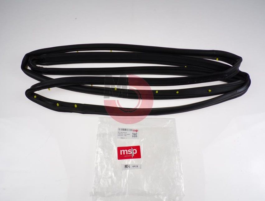 Canter-659 Kapı Lastiği RH