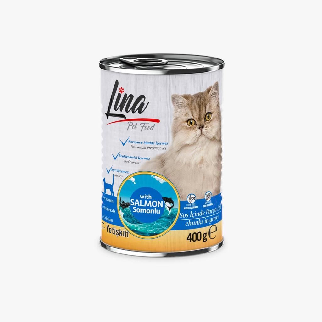 Konserve Somonlu 400 gr.
