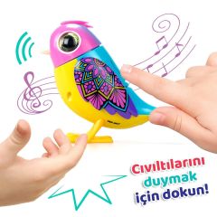 SIL 88620 Digibirds Tekli Paket Seri-2 Asorti 8li Display