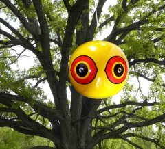 Bird-X Scare Eyes 3'lü Kuş Kovucu Balon 5574 m²