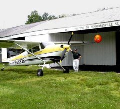 Bird-X Terror Eyes Kuş Kovucu Balon 557 m²