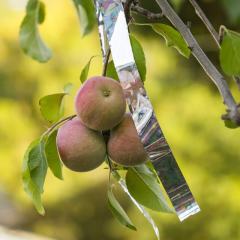 Bird-X Irri Tape Iritasyon Kuş Kovucu Bant 2,5 mt Rulo 100 m²