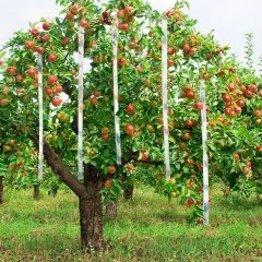 Bird-X Irri Tape Iritasyon Kuş Kovucu Bant 7,5 mt Rulo 250 m²