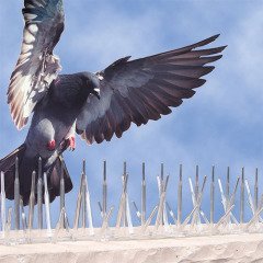 Bird-X Bird-Spikes Kuş Kondurmaz Dikenli Tel Polikarbonat Tüneme Önleyici 30cm
