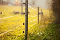 Elektrikli Çit Galvaniz Örgü Çelik Çit Teli 1000 metre