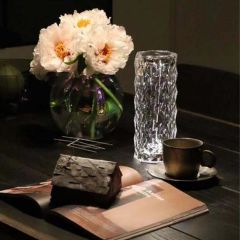 BUFFER® Silindir Model USB Şarjlı Kumandalı 16 Farklı Işık Modlu Masa Üstü Kristal Akrilik Led