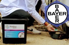 Bayer Rodilon Fare Zehiri Pastası 5KG