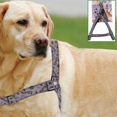 BUFFER® Ergonomik Yumuşak Dokulu Terletmez Köpek Göğüs Tasması  Large