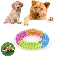 BUFFER® Köpek Diş Temizleyici ve Kaşıyıcı Sağlıklı Eğlenceli Oyuncak