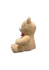 35 CM PATİLEN KALPLİ AYI -HLY