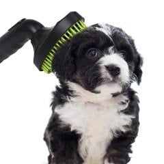 BUFFER® Süpürgeye Takılabilir Ergonomik Kedi Köpek Tüy Tarama Fırçası