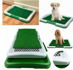 Köpek Tuvalet Eğitim Seti: Potty Trainer