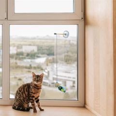 BUFFER® Kediler için Çok Renkli Zilli Vantuzlu Eğlenceli Olta Şekilli Kedi Oyuncağı