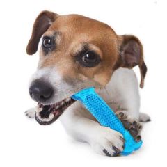 BUFFER® Kemik Şekilli Renkli Köpekler İçin 2&1 Diş Kaşıma Ve Oyun Kemiği