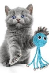 BUFFER® Zilli Peluş Yumuşacık Renkli Hasır  Mavi Ahtapot  Kedi Oyuncağı