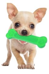 BUFFER®  Tırtıklı Yüzey Köpek Diş Kaşıma Kemiği Plastik Kemik Diş Temizleme Oyuncağı