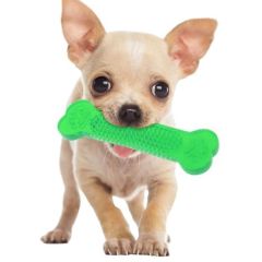 BUFFER®  Tırtıklı Yüzey Köpek Diş Kaşıma Kemiği Plastik Kemik Diş Temizleme Oyuncağı