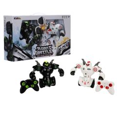 R/C ROBOT BATTLE DÖVÜŞEN İKİLİ
