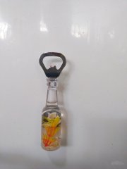 Magnet Açacak Gazoz Soda Şişe Açacağı Hediyelik (Deniz Kabuklu)