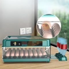 BUFFER® Tavuk, Kaz, Ördek, Bıldırcın Yumurtaları İçin Tam Otomatik Kuluçka Makinesi