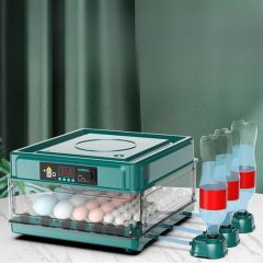 BUFFER® Tavuk, Kaz, Ördek, Bıldırcın Yumurtaları İçin Tam Otomatik Kuluçka Makinesi